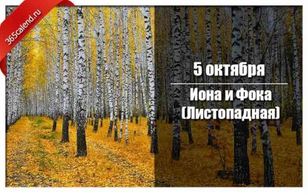 Иона и ФОКА (Листопадная)