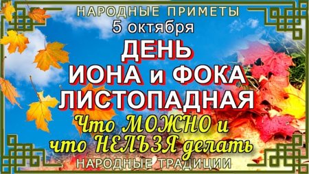 Иона и ФОКА (Листопадная)