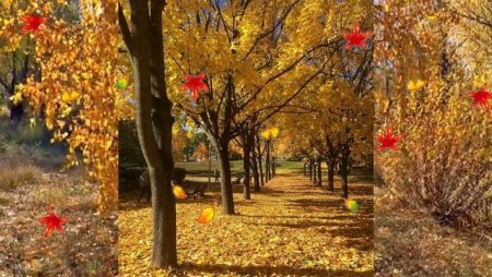 ФОКА Ветроградарь (Иона и ФОКА, Листопадная)