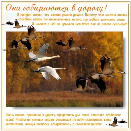 День напутствий улетающим птицам