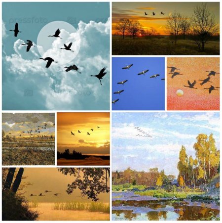 День напутствий улетающим птицам