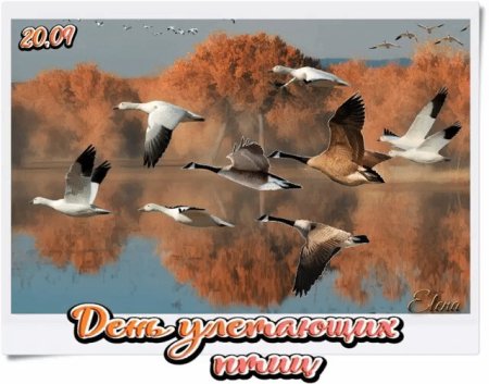 День напутствий улетающим птицам