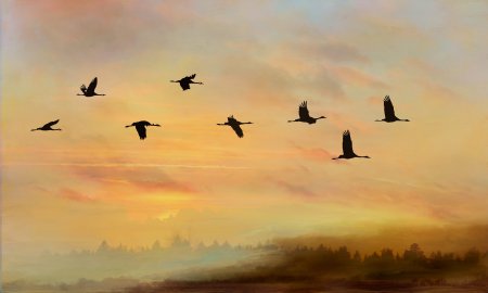Картина журавлиный Клин живопись