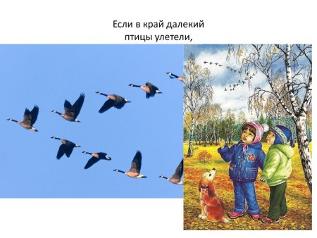 Птицы осенью для детей