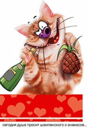 Прикольные анимационные открытки