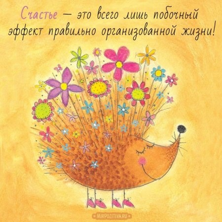 Позитивные открытки