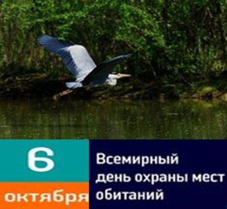 Всемирный день защиты мест обитания
