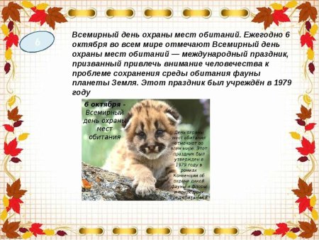 День охраны среды обитания