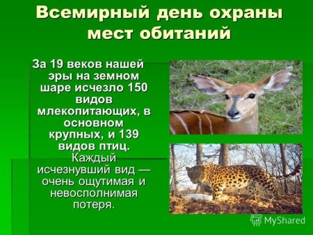 6 Октября Всемирный день охраны мест обитания