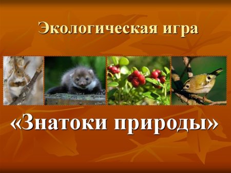 6 Октября Всемирный день охраны мест обитания