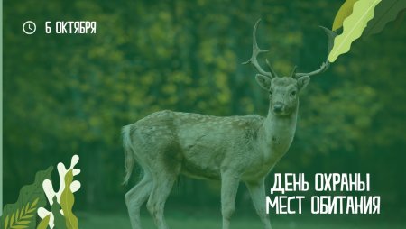 Всемирный день охраны мест обитания обои фоне