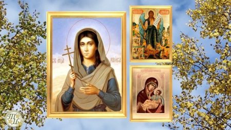 Ираида спорная