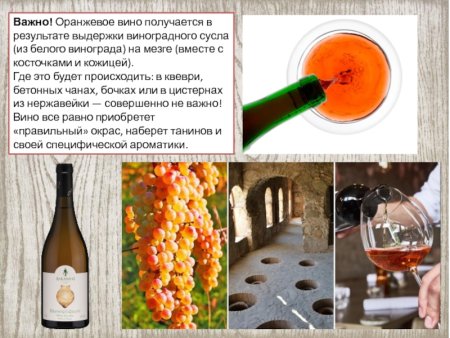 Оранжевое вино из какого винограда