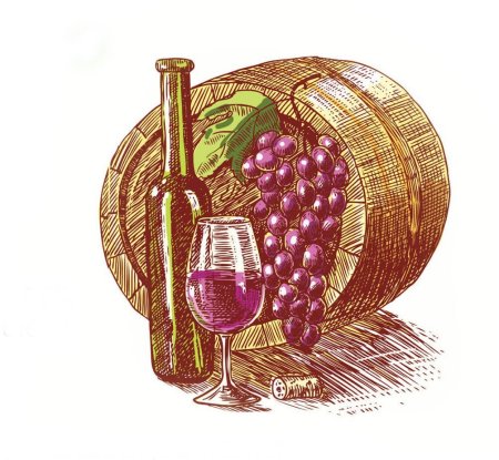 Грузинское вино вектор