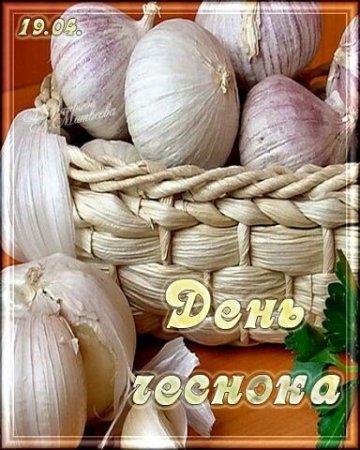 День чеснока 19 апреля