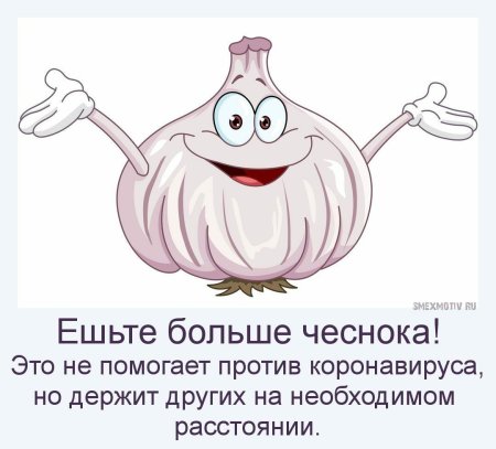 Чеснок мультяшный