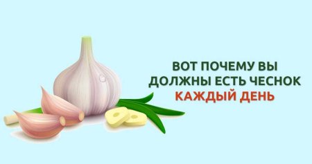 Есть чеснок каждый день