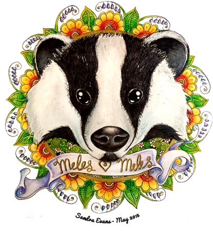 С днем рождения барсук