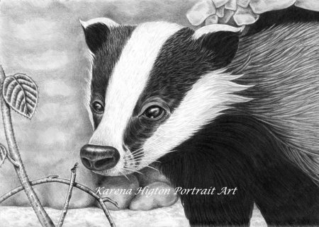 Барсука Алиса