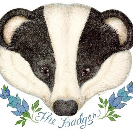 Барсук мордочка