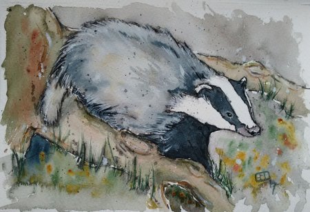 Барсук живопись
