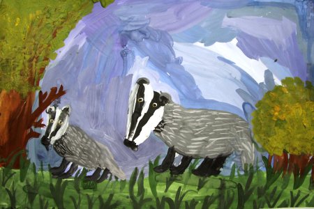 Барсук рисунок