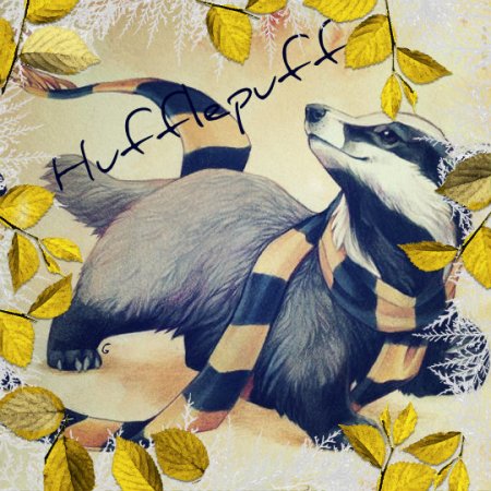 Пуффендуй барсук Эстетика