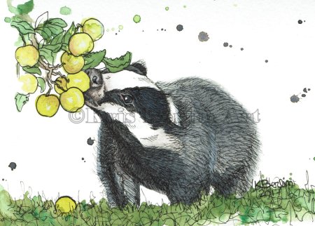 Барсук для детей