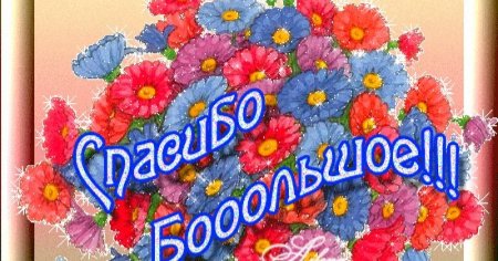 Спасибо родители