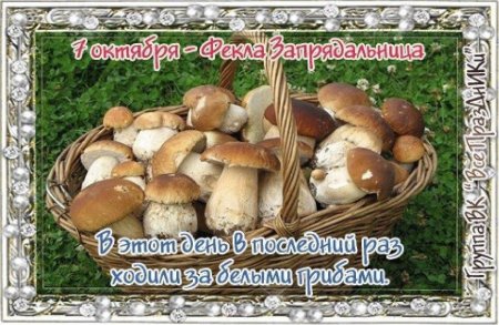 Фекла Заревница 7 октября