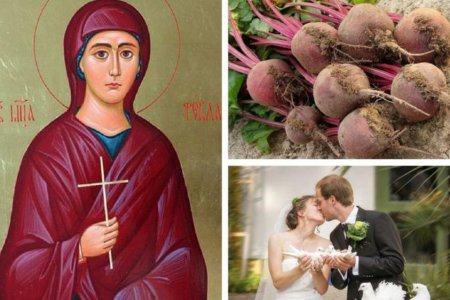 Фекла Запрядальница