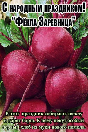 Фёкла Заревница (замолотки)