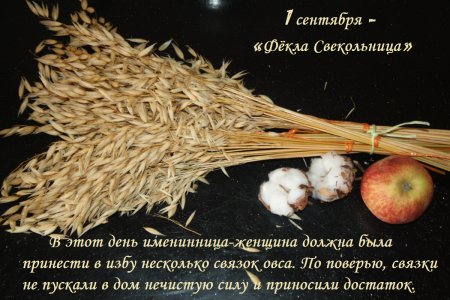 Фекла-Свекольница (Андрей-тепляк)