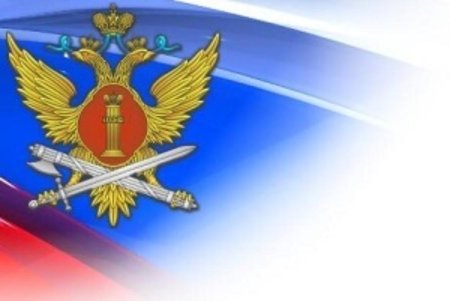 Уголовно-исполнительная система ФСИН