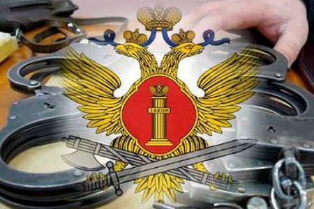 УИС уголовно исполнительная система