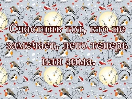 Статусы про зиму прикольные короткие