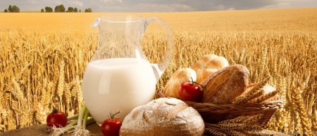 С днем сельского хозяйства и перерабатывающей промышленности