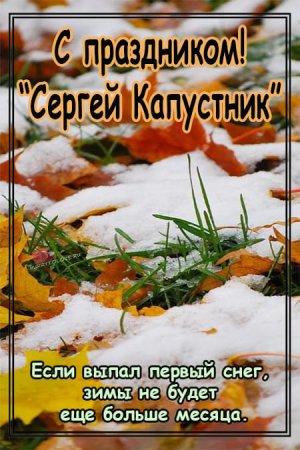 Сергей капустник