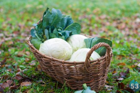 Сергей капустник русский праздник