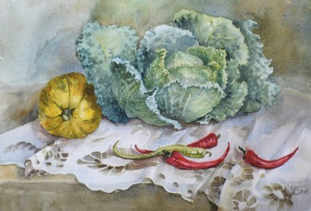 Ботаническая живопись капуста