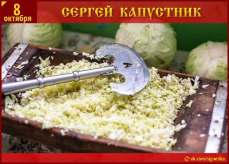 Сергей капустник (Сергей-курятник)