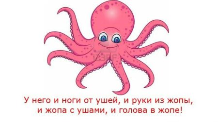 Шутка про осьминога