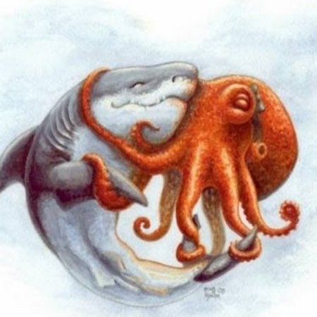 Осьминоги обнимаются