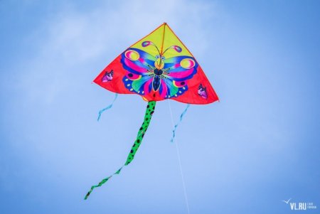 Всемирный день воздушных змеев