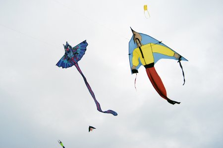 Всемирный день воздушных змеев 10 октября картинки