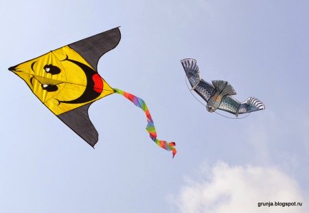 День запуска воздушных змеев и самолетиков