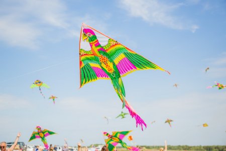 Праздник воздушного змея