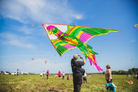 Запускание воздушного змея