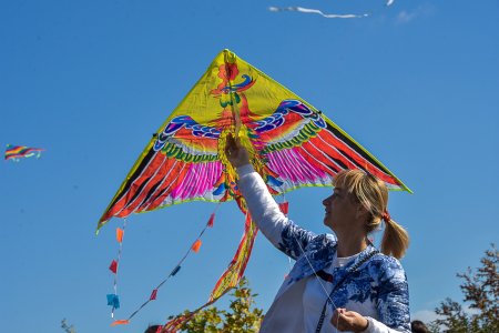 Воздушные змеи