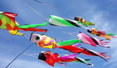 Соревнования воздушных змеев